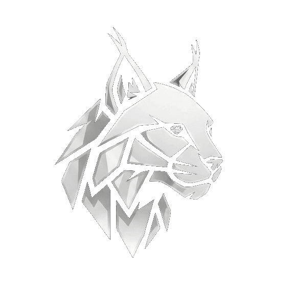 GemLynks